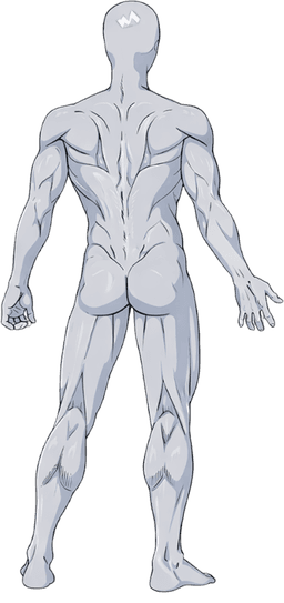 Body Selector back